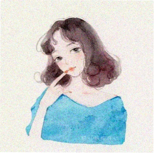 影迷一只海鸥头像